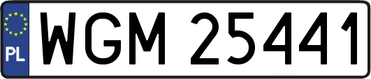 WGM25441