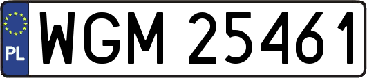 WGM25461