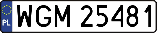 WGM25481
