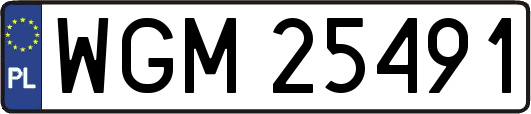 WGM25491