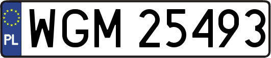 WGM25493