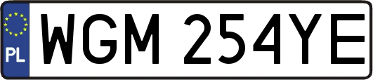 WGM254YE