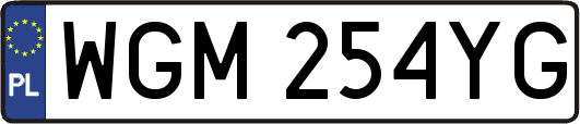 WGM254YG