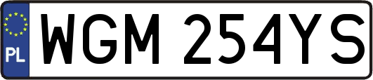 WGM254YS