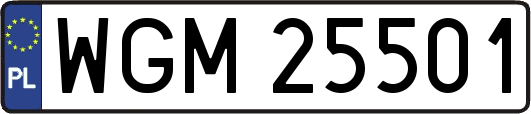 WGM25501