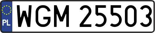 WGM25503