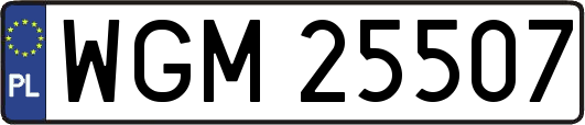 WGM25507