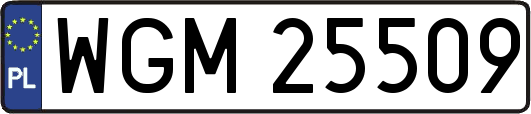 WGM25509