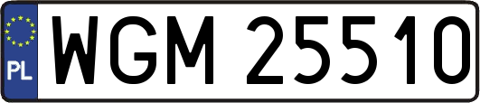 WGM25510