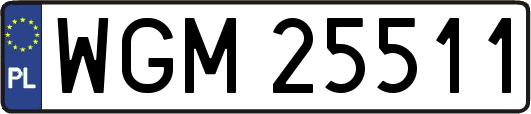 WGM25511