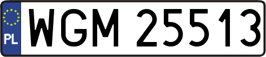 WGM25513