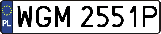 WGM2551P