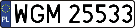 WGM25533