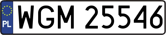WGM25546