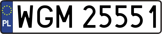 WGM25551