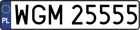 WGM25555