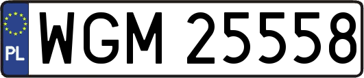 WGM25558