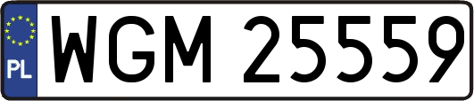 WGM25559