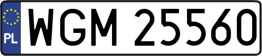WGM25560