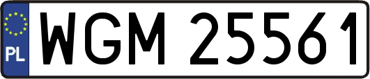 WGM25561