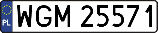 WGM25571