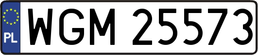 WGM25573
