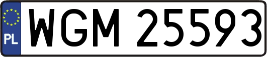 WGM25593