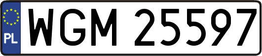 WGM25597