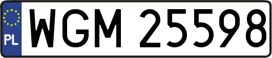 WGM25598