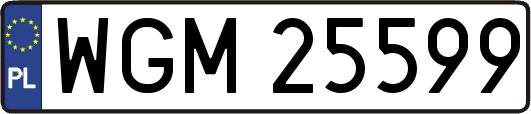 WGM25599