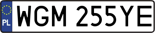WGM255YE
