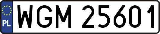 WGM25601