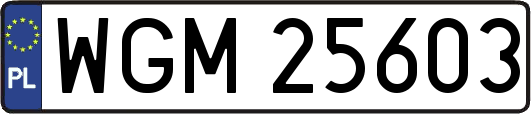 WGM25603