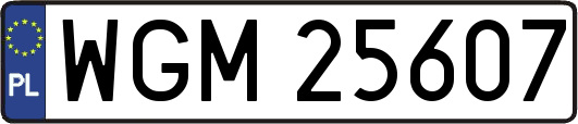 WGM25607