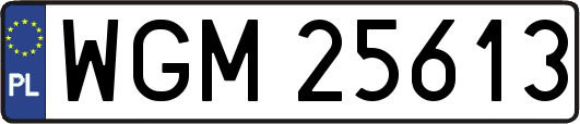 WGM25613