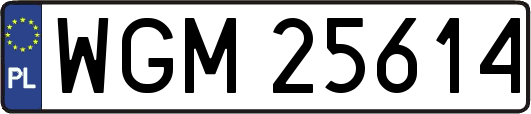 WGM25614