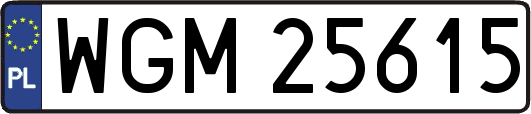 WGM25615