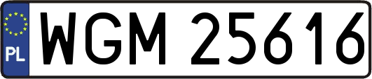 WGM25616