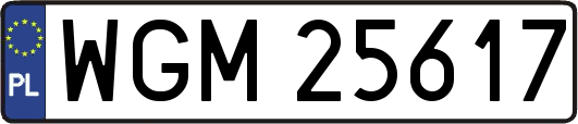 WGM25617