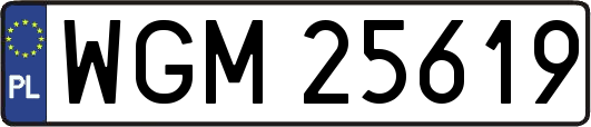 WGM25619