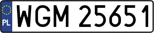 WGM25651