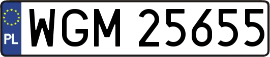 WGM25655