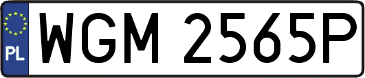 WGM2565P