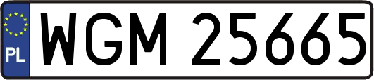 WGM25665