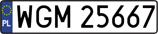 WGM25667
