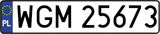 WGM25673