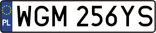 WGM256YS