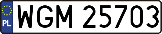WGM25703
