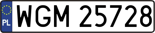 WGM25728