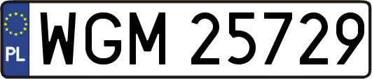 WGM25729